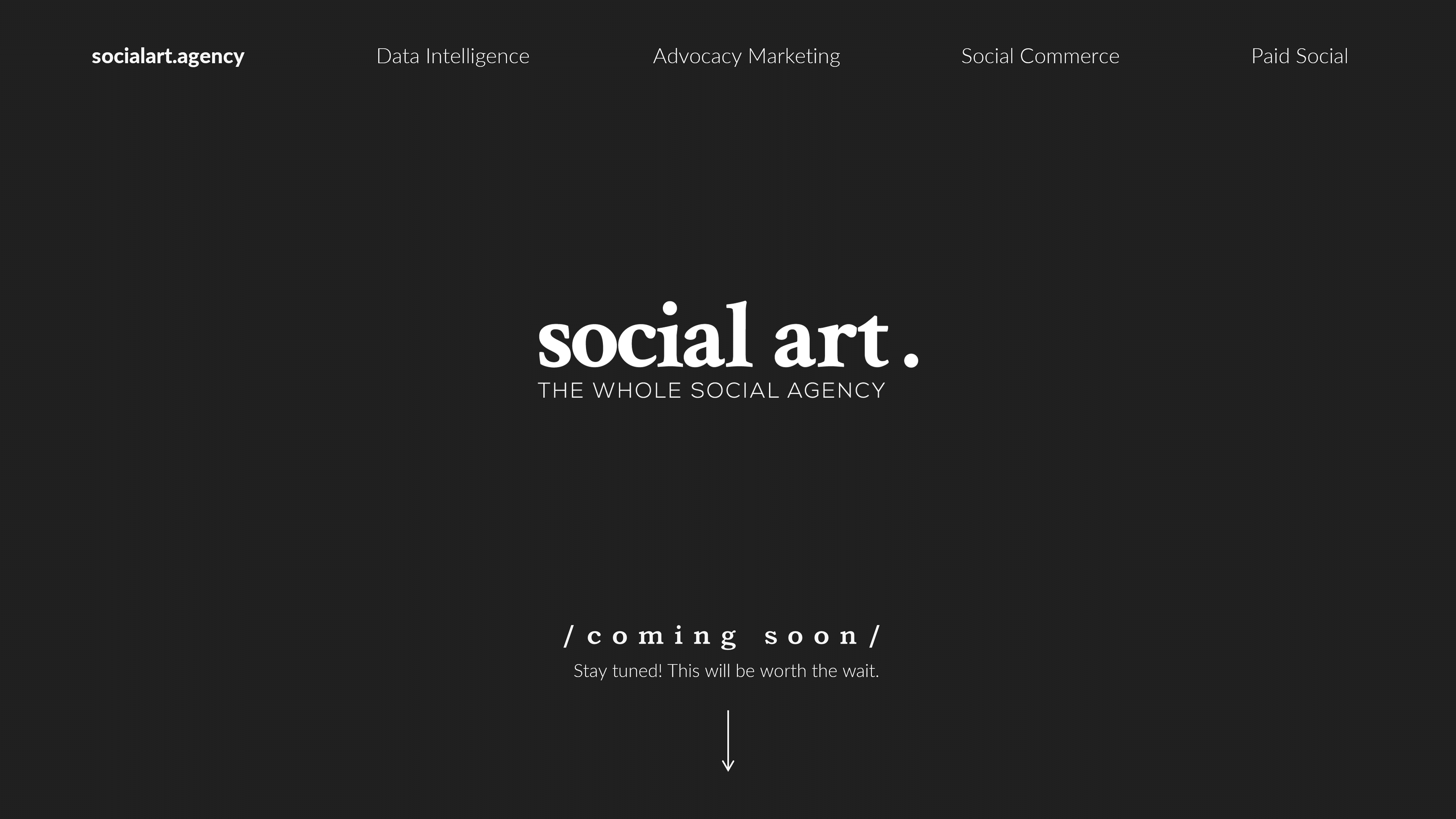 The Social Art
